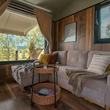 Tripsylvania Tiny House Sirnea Exterior photo